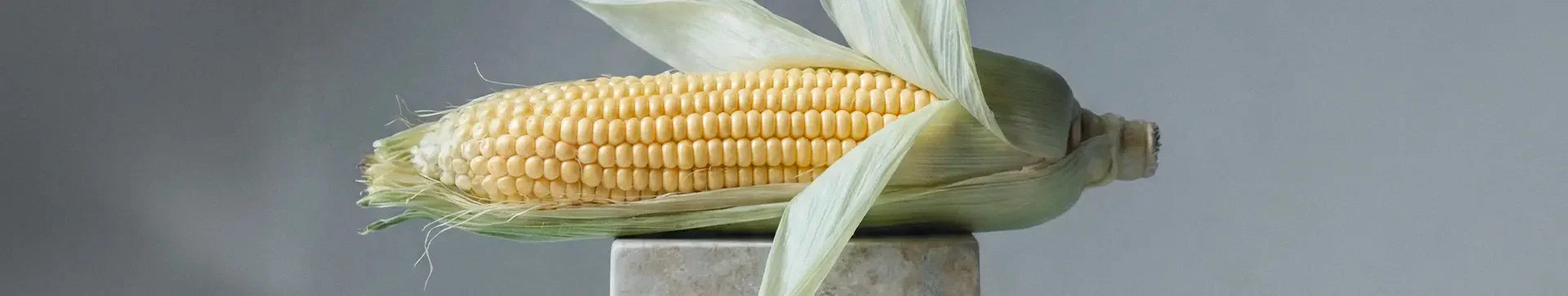 Corn