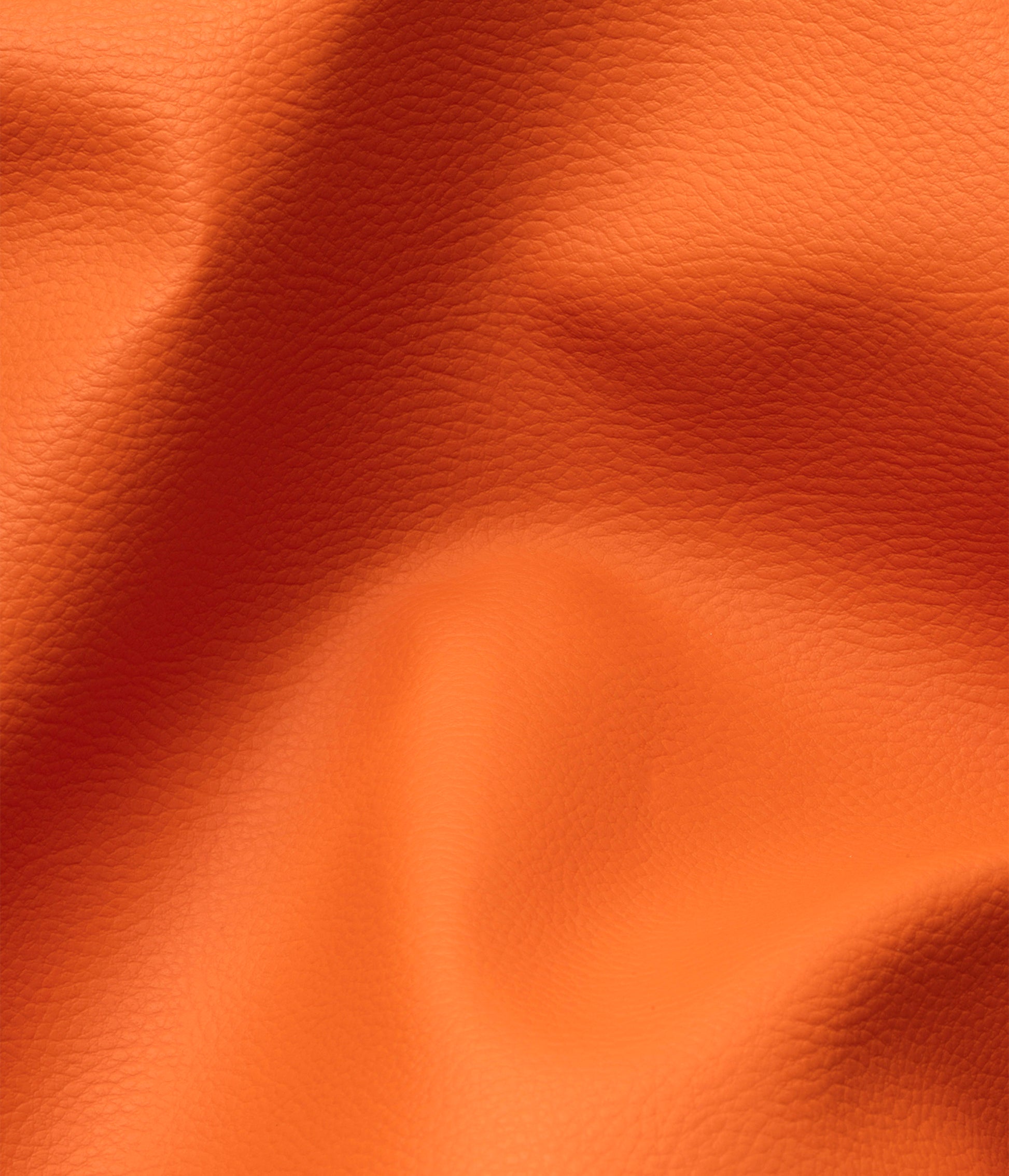 Orion Pouch – Orange (auf Orangenbasis)